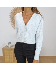 Gilet HELAENA gris clair – vue de face